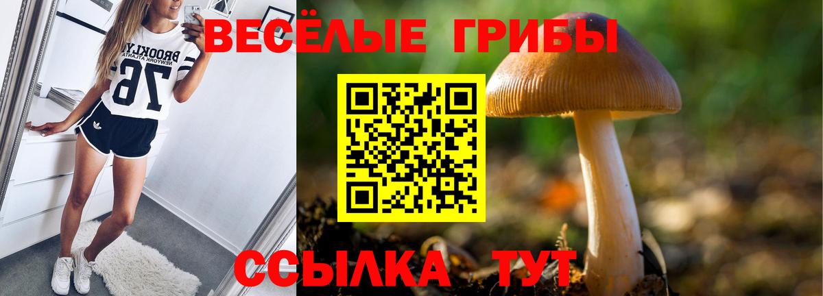 Псилоцибиновые грибы Psilocybe  Вход с VPN  Псилоцибиновые грибы Psilocybe  Белебей 